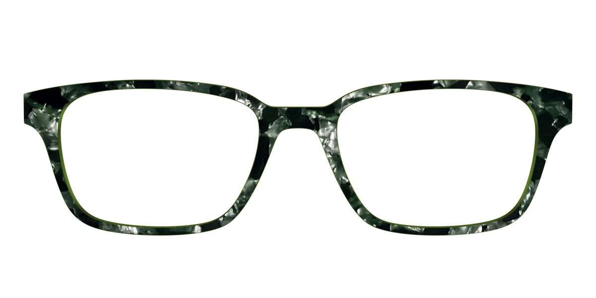 The Olive Pearl Tortoise