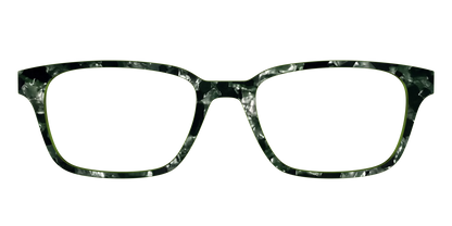 The Olive Pearl Tortoise
