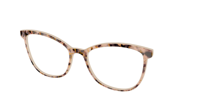 The Almond Tortoise with Gold Streaks