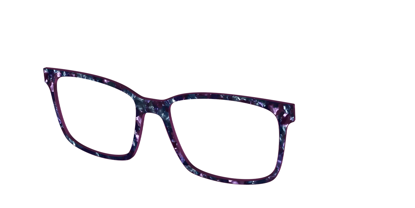 The Black Opal Pearl Tortoise