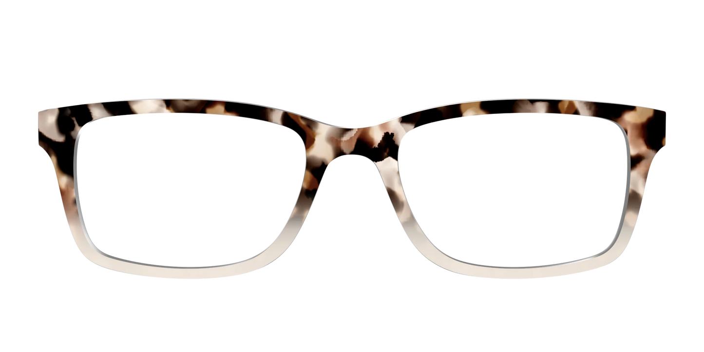 The Vanilla Latte Tortoise