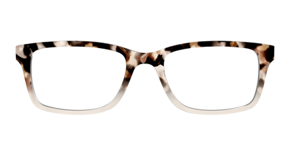 The Vanilla Latte Tortoise