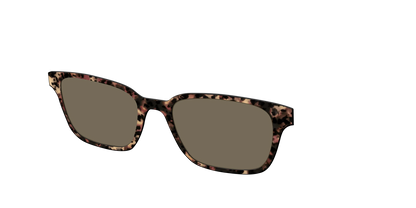 The Polarized Sienna Tortoise Sun Top