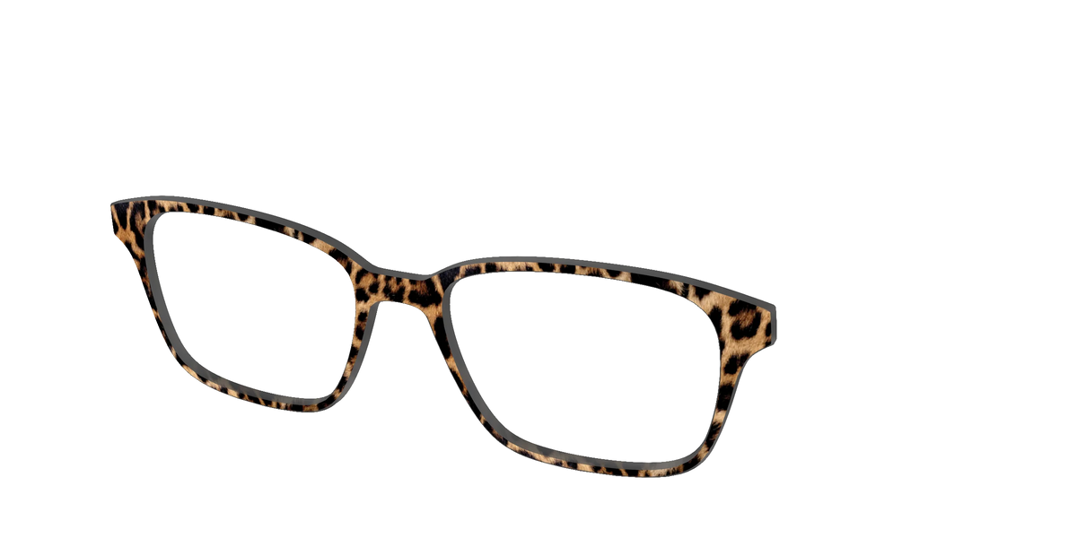 The Cheetah Spots