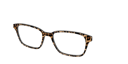 The Cheetah Spots