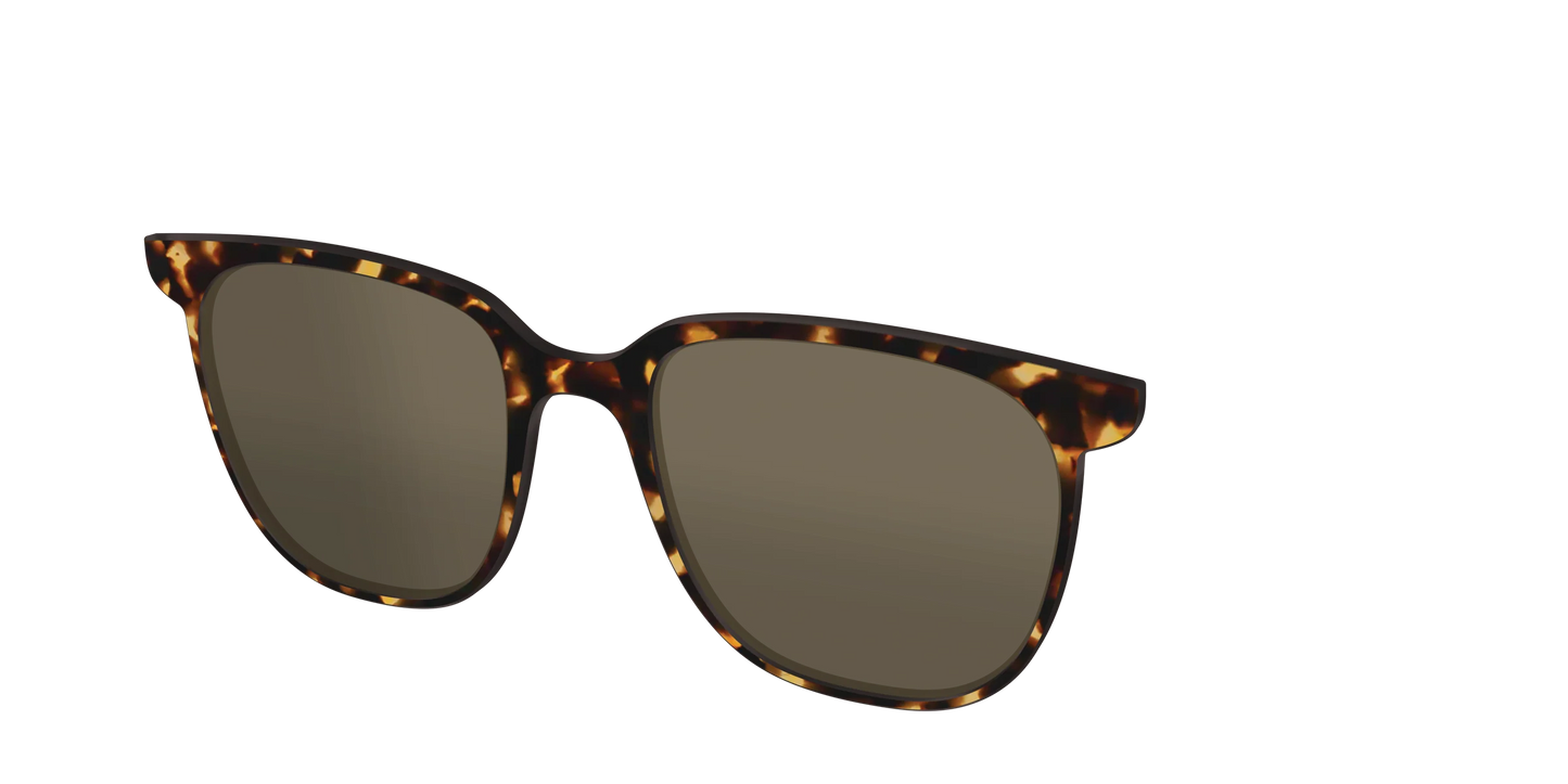 The Polarized Tortoise Sun Top