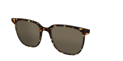 The Polarized Tortoise Sun Top