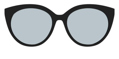 The Black With Slate Blue Lens