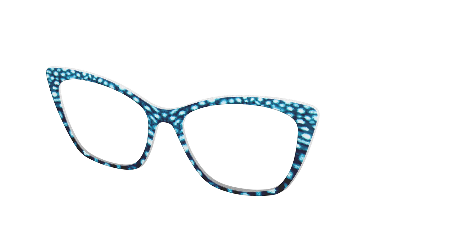 The Whale Shark Spots