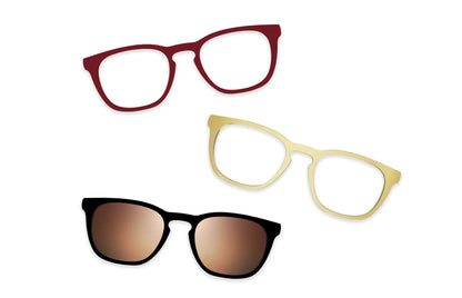 Tortoise - Set