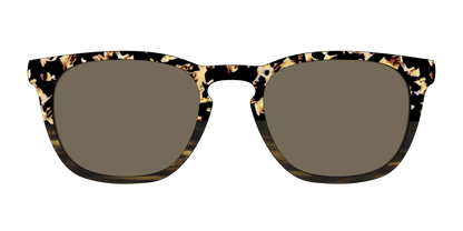 The Polarized Caramel Tortoise Horn Split Sun Top