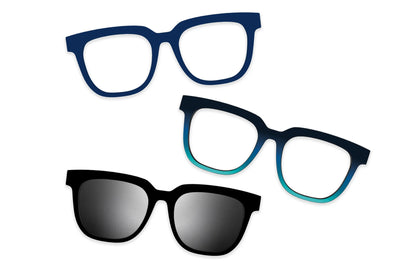 Blue Tortoise - Set