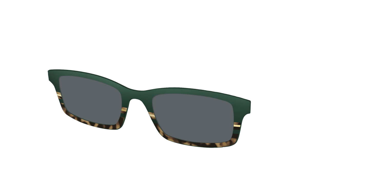 The Polarized Spruce Tortoise Sun Top