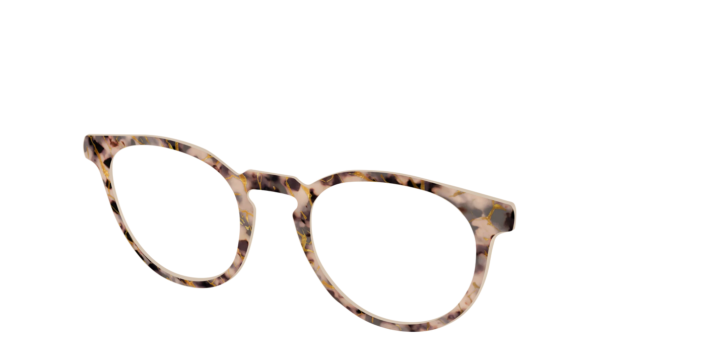The Almond Tortoise with Gold Streaks