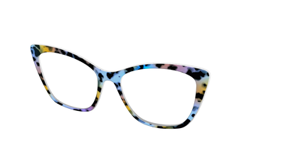 The Positano Tortoise