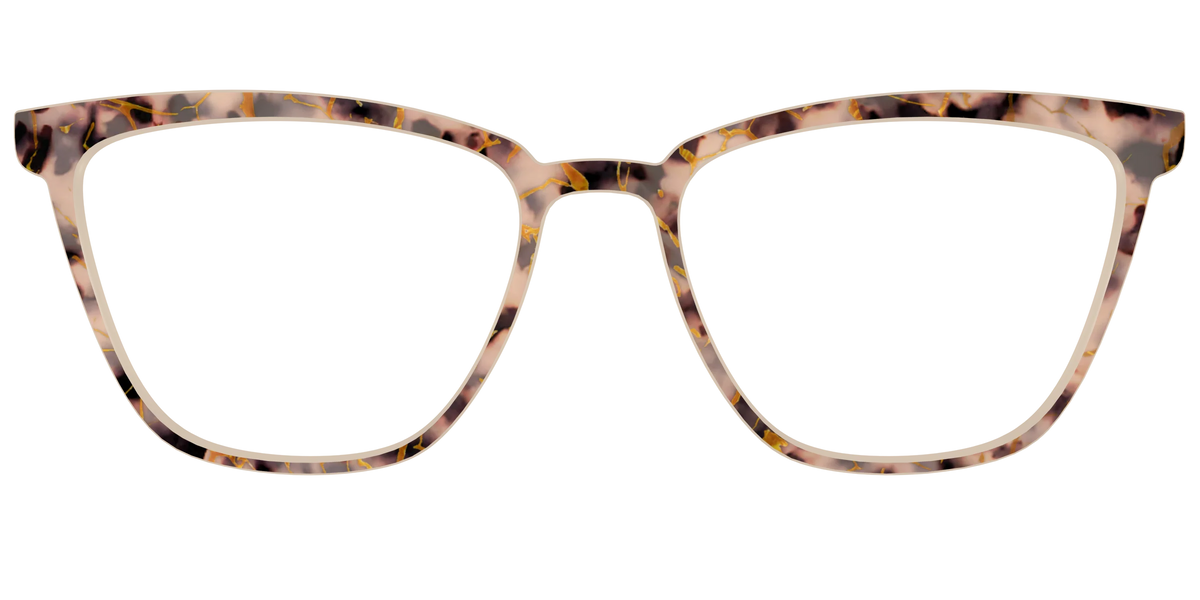 The Almond Tortoise with Gold Streaks