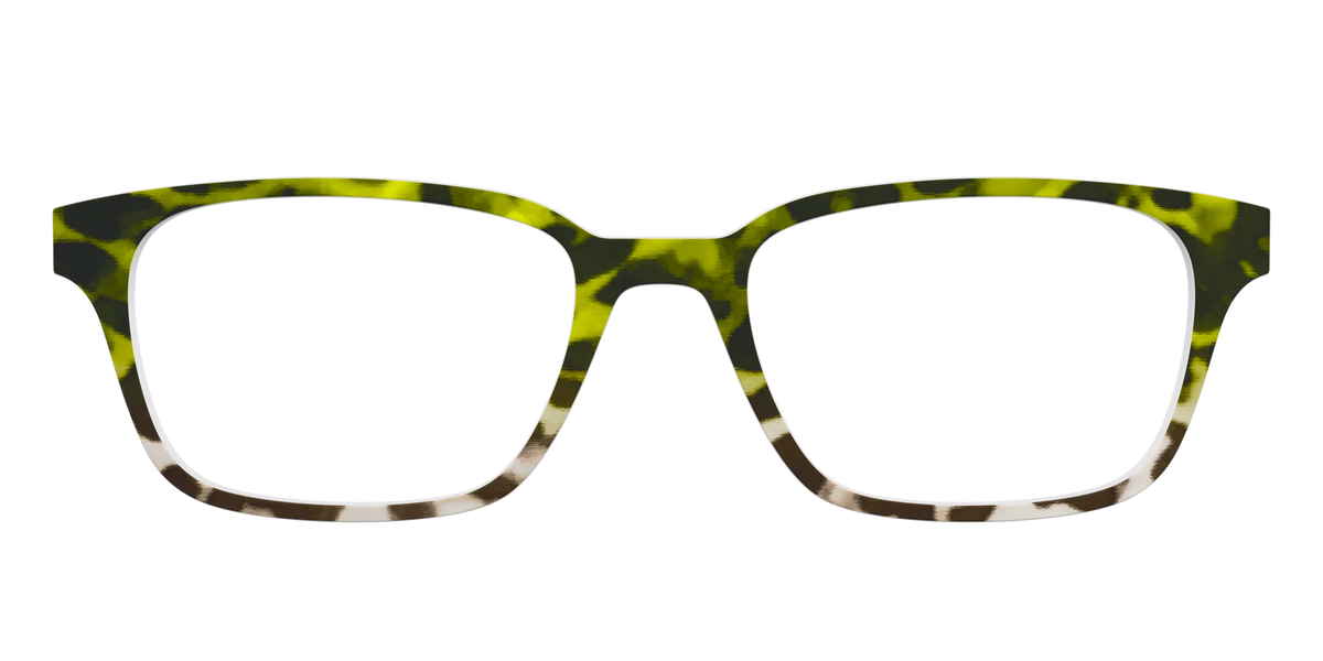 The Avocado to Ivory Tortoise