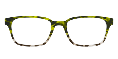 The Avocado to Ivory Tortoise