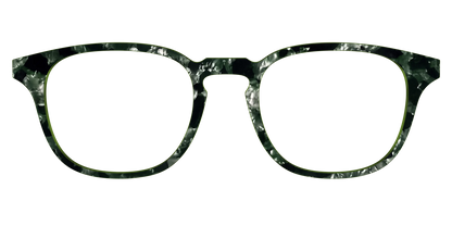 The Olive Pearl Tortoise
