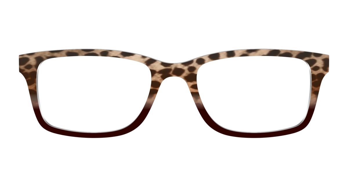 The Jungle Cat Tortoise