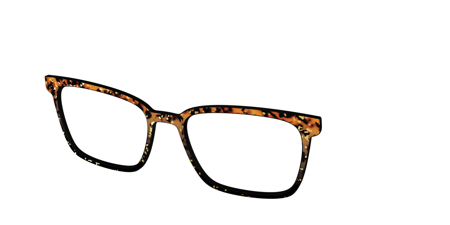 The Rustic Gold Leaf Tortoise