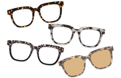 The Everyday Tort Set
