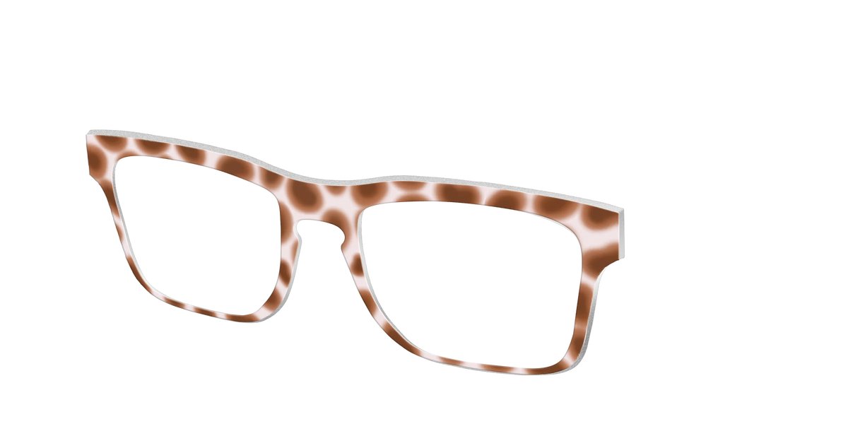 The Caffé Tortoise