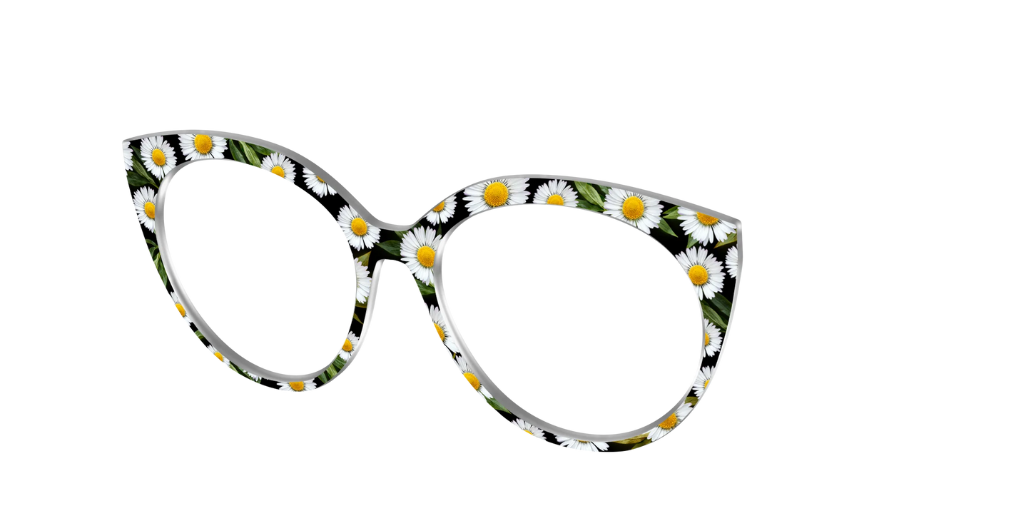 The Delicate Daisies