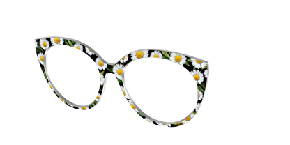 The Delicate Daisies