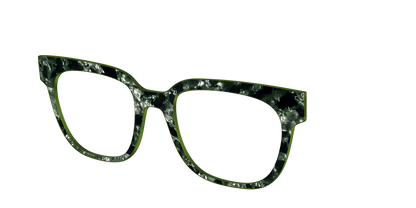 The Olive Pearl Tortoise