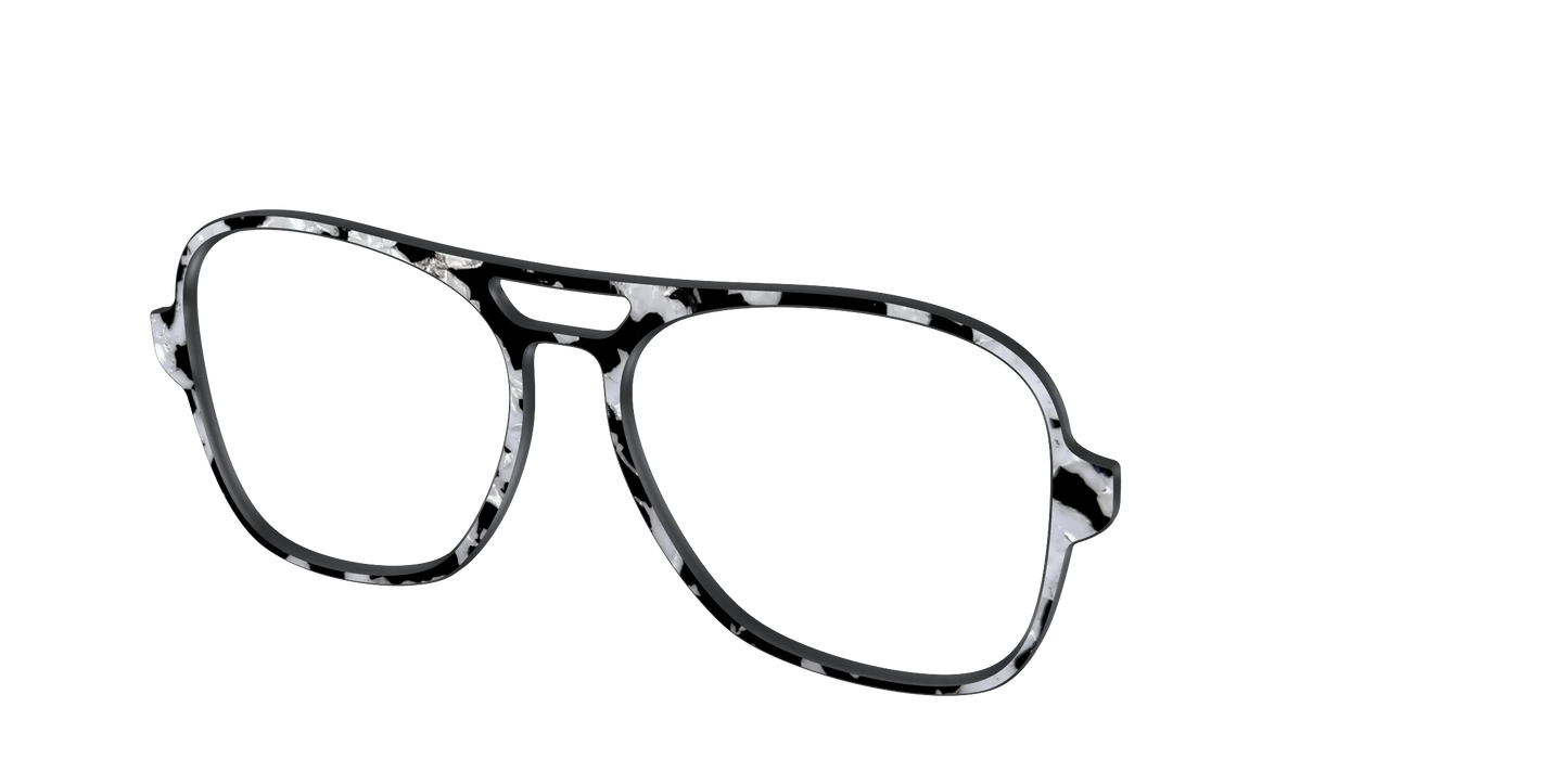 The Black & White Pearl Tortoise