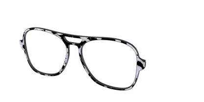 The Black & White Pearl Tortoise