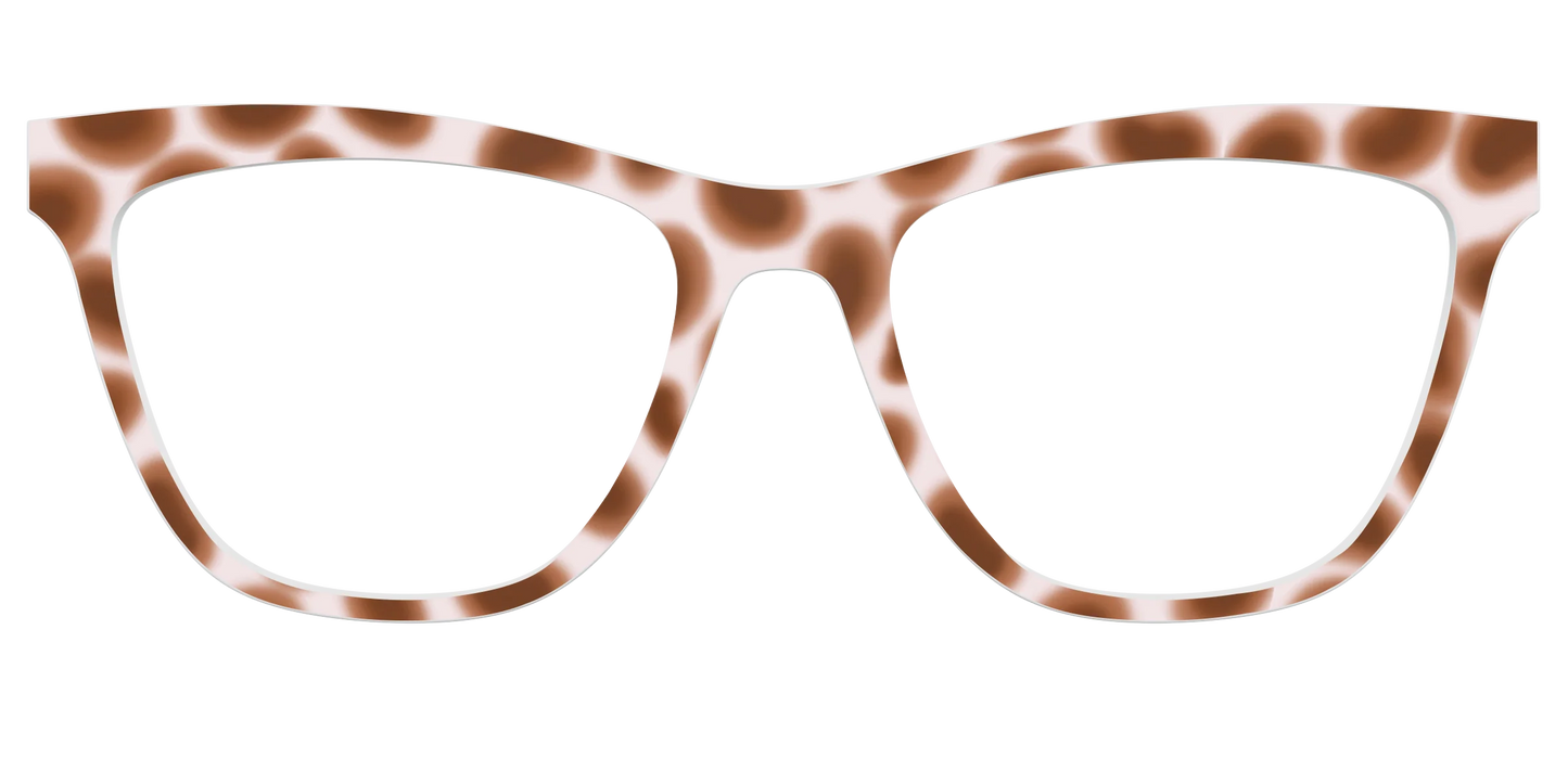 The Caffé Tortoise