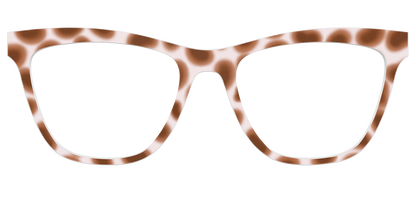 The Caffé Tortoise