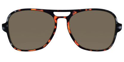 The Polarized Gray & Amber Tortoise Sun Top
