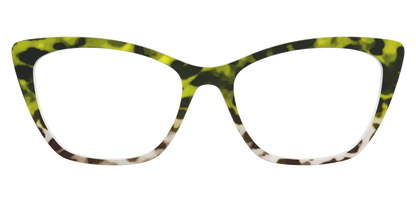The Avocado to Ivory Tortoise