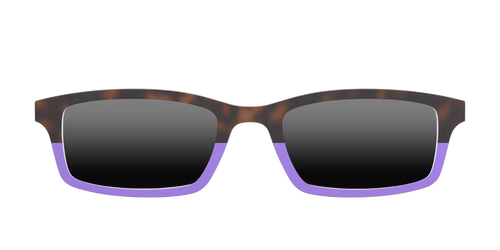 The Polarized Purple Tortoise Sun Top