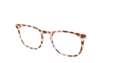 The Caffé Tortoise