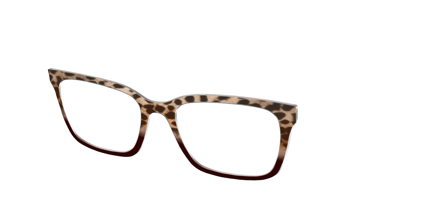 The Jungle Cat Tortoise