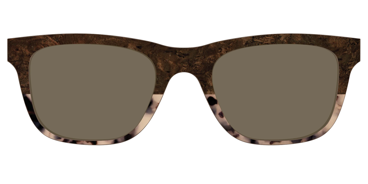 The Polarized Dark Oak Tortoise Split Sun Top