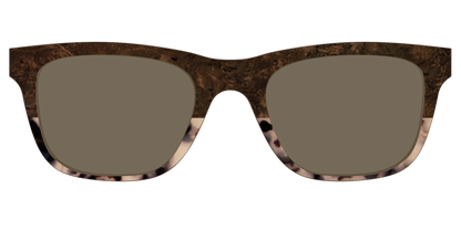 The Polarized Dark Oak Tortoise Split Sun Top