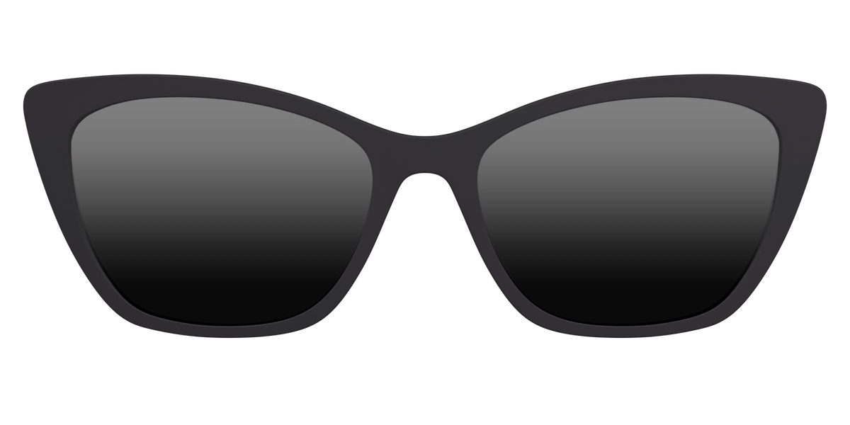 The Polarized Black Sun Top