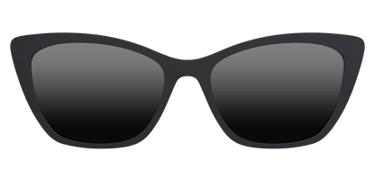 The Polarized Black Sun Top