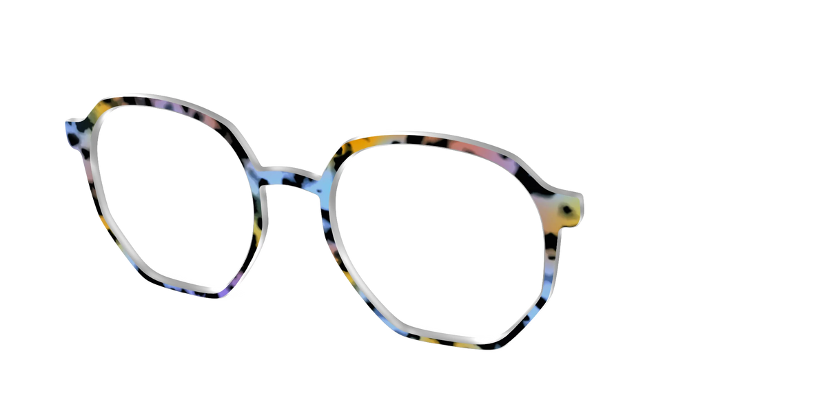 The Positano Tortoise