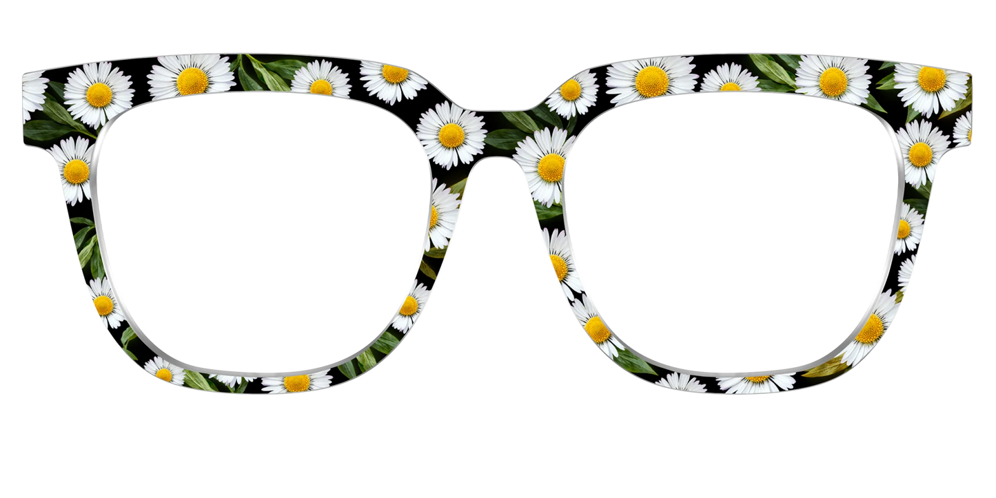 The Delicate Daisies