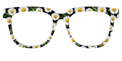 The Delicate Daisies