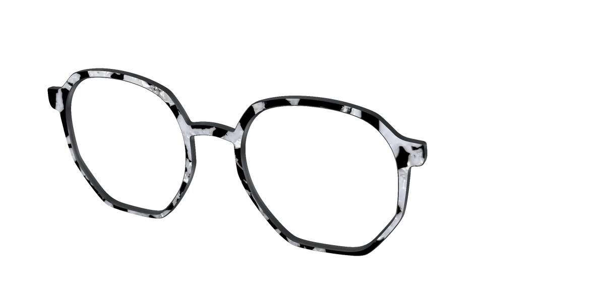 The Black & White Pearl Tortoise