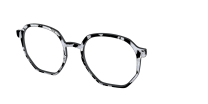 The Black & White Pearl Tortoise