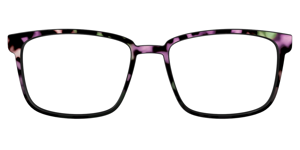 The Boysenberry Tortoise