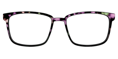 The Boysenberry Tortoise